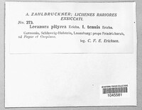 Image Associated With the Occurence